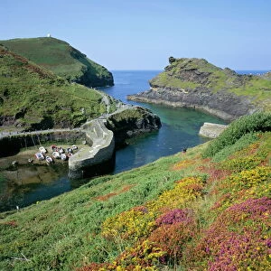 Cornwall Collection: Boscastle