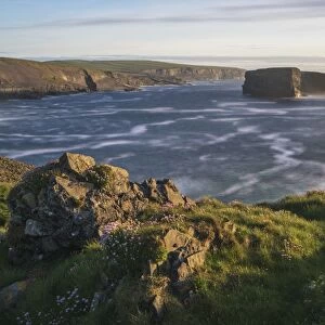 Castle Point, Loop Head, County Clare, Munster, Republic of Ireland, Europe