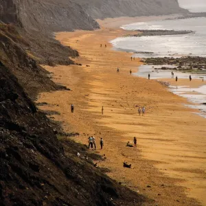 Dorset Collection: Charmouth