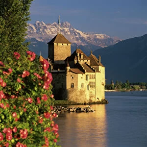 Switzerland Framed Print Collection: Castles