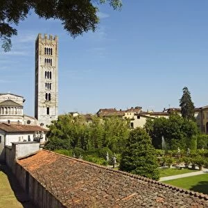 Church of San Frediano, Lucca, Tuscany, Italy, Europe