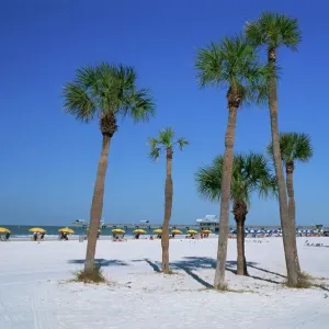 Playa de Clearwater Playa de Clearwater