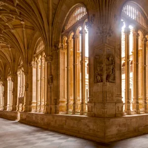 The cloister of Convento de San Esteban in Salamanca, Castile and Leon, Spain, Europe