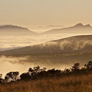Cloud layer at dawn, Mountain Zebra National Park, South Africa, Africa