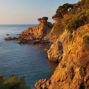 Coastline at dawn, Calella de Palafrugell, Costa Brava, Catalonia, Spain, Mediterranean, Europe