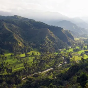 Cocora Valley, Salento, Colombia, South America