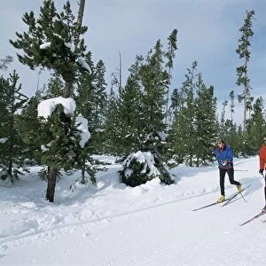 Cross country skiing at Rendevous