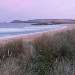 Constantine Bay Print: A photograph of sandy dunes and beach Constantine Bay Print: A photograph of sandy dunes and beach