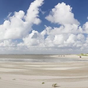 Dunes at a beach, Sankt Peter Ording, Eiderstedt Peninsula, Schleswig Holstein, Germany, Europe