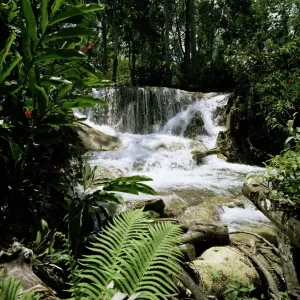 Dunns River Falls Print Dunns River Falls Print