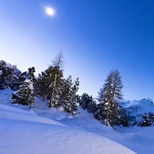 Dusk over Chiesa Bianca in the snowy landscape lit by moon, Maloja, Bregaglia Valley