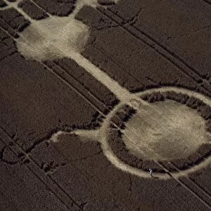 Early example of a crop circle, Avon Wiltshire border, England, United Kingdom, Europe