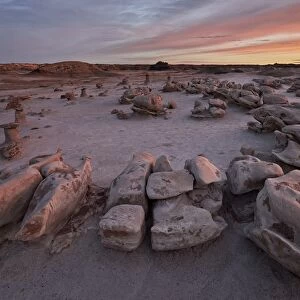 Egg Factory at dawn, Bisti Wilderness, New Mexico, United States of America, North