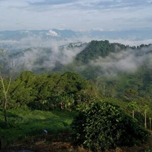 Coffee Cultural Landscape of Colombia