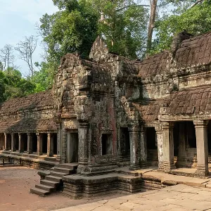 Ta Prohm Temple Print, Cambodia