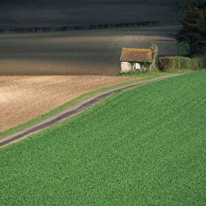 Farmland near Old Winchester Hill, Hampshire, England, United Kingdom, Europe