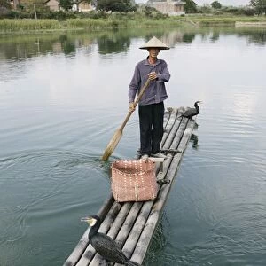 Fisherman with cormorants, Li River, Yangshuo, Guangxi Province, China, Asia
