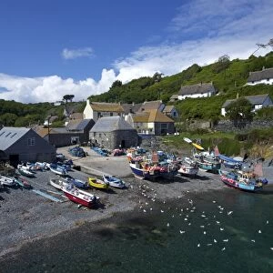 Fishing boats on the beach at Cadgwith, Lizard Peninsula, Cornwall, England