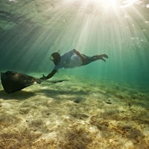 A freediver plays with a stingray, Antigua, West Indies, Caribbean, Central America