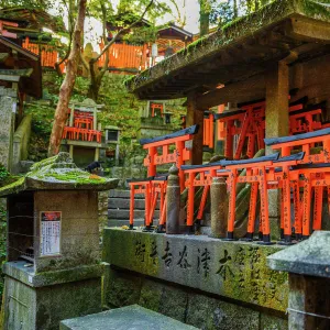 Fushimi Inari Taisha, the most important Shinto shrine, famous for its thousand red