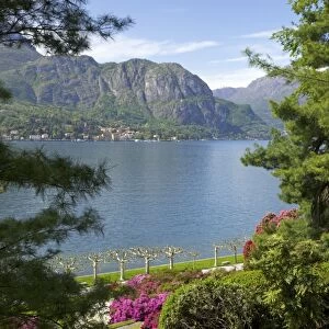 Gardens of Villa Melzi, Bellagio, Lake Como, Lombardy, Italian Lakes, Italy, Europe