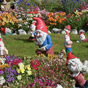 Gnomes, Port Stanley, Falkland Islands, South America