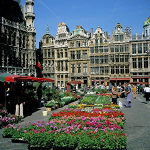 Heritage Sites Photographic Print Collection: La Grand-Place, Brussels