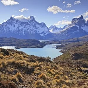 Grasses, Lago Pehoe and the Cordillera del Paine, Torres del Paine National Park, Patagonia, Chile, South America