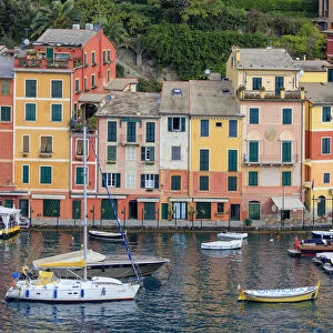 Harbour and typical coloured houses, Portofino, province of Genoa, Liguria, Italy, Europe