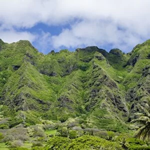 Hau ula Forest Reserve, Koolau Mountain Rage, Oahu, Hawaii, United States of America