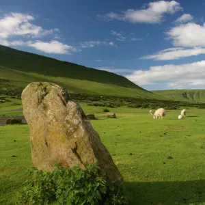 Images Dated 2007 June: 15 Jun 2007