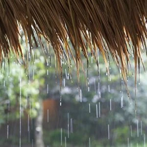 Heavy monsoon rain dripping off a rice straw thatched roof, Bandung, Java, Indonesia, Southeast Asia, Asia