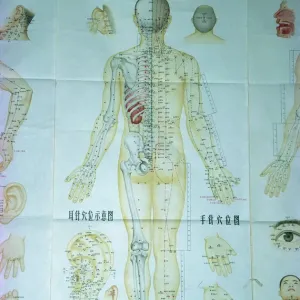 Acupuncture Points Print, China Acupuncture Points Print, China
