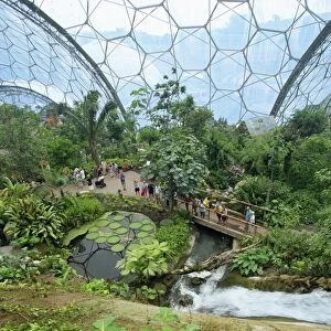 Inside the Humid Tropics biome at the Eden Project, opened in 2001 at a china clay pit near St