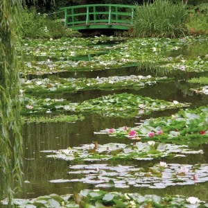 Japanese bridge and lily pond in the garden of the Impressionist painter Claude Monet