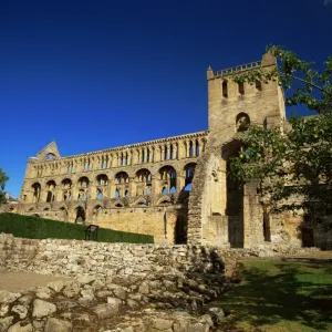 Jedburgh Abbey Print Jedburgh Abbey Print