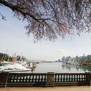 Jogger running on the waterfront in Coal Harbour, Vancouver, British Columbia