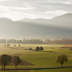 Kochelmoos Moor, Hay Huts, Bavarian Alps, Upper Bavaria, Bavaria, Germany, Europe