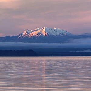 Lake Taupo with Mount Ruapehu and Mount Ngauruhoe at dawn, Taupo, North Island, New Zealand, Pacific