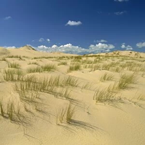 Landscape of sand and grass at Pointe de la Coubre near Royan in the Charente-Maritime