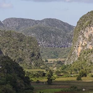 Limestone Mogotes, Vinales Valley, UNESCO World Heritage Site, Pinar del Rio, Cuba, West Indies, Caribbean, Central America