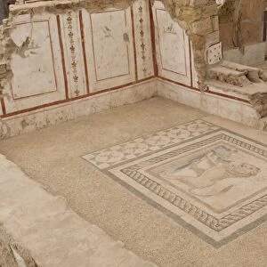 Lion mosaic, murals and frescoes in a Terrace House, Curetes Street, Ephesus, near Kusadasi, Anatolia, Turkey, Asia Minor, Eurasia