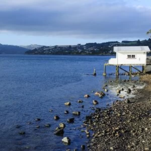 Little fishing cottage on a rocky beach, Otago Peninsula, Otago, South Island, New Zealand, Pacific