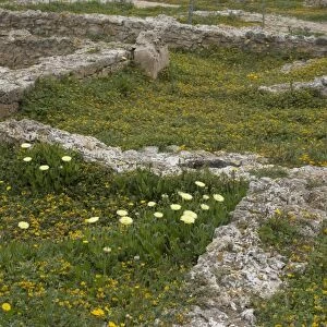 Tunisia Heritage Sites Collection: Punic Town of Kerkuane and its Necropolis
