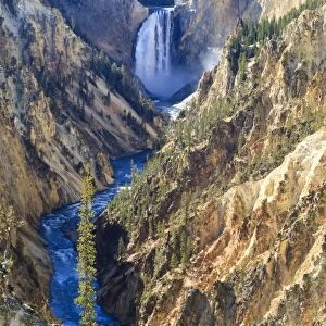 Lower Falls and the Grand Canyon of the Yellowstone, Yellowstone National Park, UNESCO World Heritage Site, Wyoming, United States of America, North America