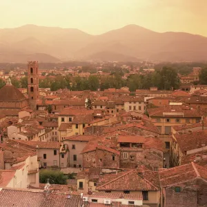 Lucca, Tuscany, Italy, Europe