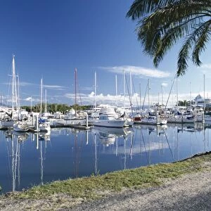 Marina, Port Douglas, Queensland, Australia, Pacific
