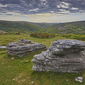 A massive granite boulder on Bench Tor, one of the classic features of Dartmoor National