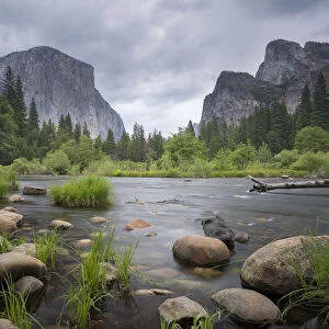 The Merced River at Valley View in spring, Yosemite National Park