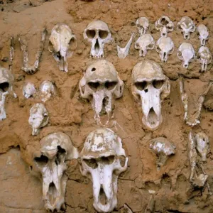 Monkey skulls embedded in mud wall to protect against evil spirits, Dogon village of Telle